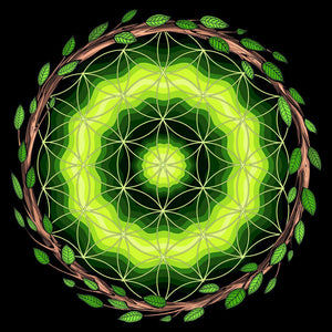 Ayahuasca, Ayahuasca Sacred Geometry, Flower Of Life, Psychedelic Sacred Geometry, Ayahuasca Art, Ayahuasca Ceremony, Ayahuasca Retreat - Psychonautica Store