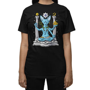 Psychedelic Sphynx Cat T-Shirt, Shiva T-Shirt, Trippy Sphynx Cat Tee, Hindu Shirt, Hairless Cat T-Shirt, Shiva Clothing, Hinduism Clothes - Psychonautica Store