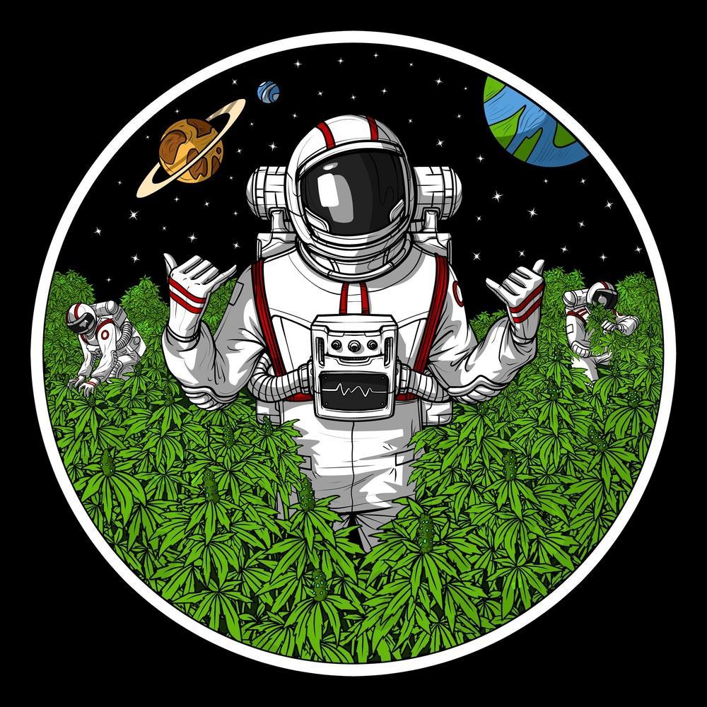 Astronaut Smoking Weed, Astronaut Weed, Astronaut Stoner, Astronaut Smoking Cannabis, Psychonaut Astronaut - Psychonautica Store