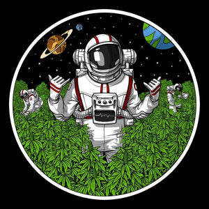 Astronaut Weed Shirt, Astronaut Smoking Weed Shirt, Stoner T-Shirt, Astronaut Smoking Weed, Weed Clothing, Stoner Clothing, Stoner Tee, Psychonaut - Psychonautica Store