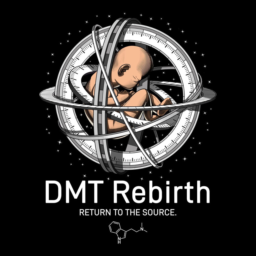 DMT Trip, DMT Art, Psychedelic Trip, Psychonaut, LSD Trip - Psychonautica Store