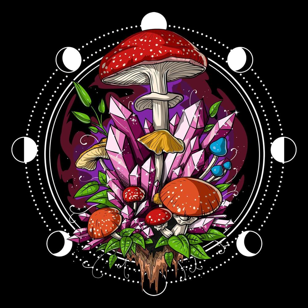 Psychedelic Mushrooms T-Shirt, Trippy Mushrooms Shirt, Hippie Clothes, Magic Mushrooms T-Shirt, Mushrooms Shirt, Psilocybin Mushroom Shirt, Forest Mushrooms Shirt - Psychonautica Store