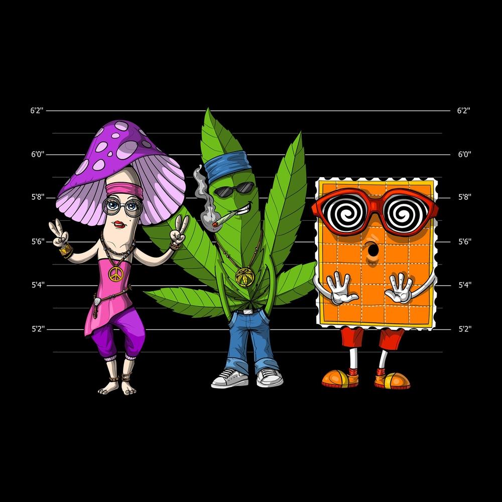 Stoner Hoodie, Psychedelic Hoodie, Cannabis Hoodie, Weed Clothing, Psychedelic Clothing, Hippie Clothes - Psychonautica Store