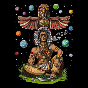 Native American Chief Smoking Cannabis Shirt, Native American Chief Shirt, Psychedelic Weed Shirt, Stoner Shirt, Cannabis Shirt, Psychedelic T-Shirts - Psychonautica Store