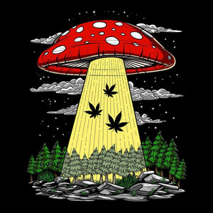 Weed Alien Abduction, Magic Mushrooms Alien Abduction, Mushrooms Aliens, Psychedelic Aliens, Amanita Muscaria - Psychonautica Store